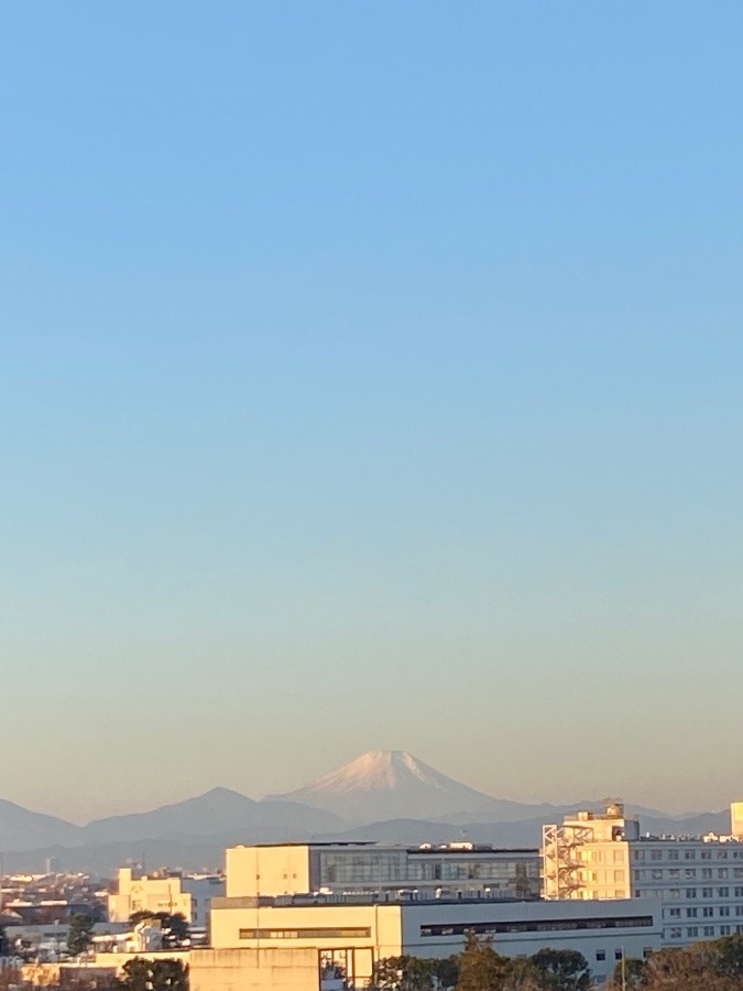 今朝の富士山