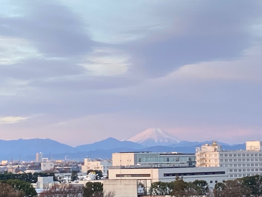 今朝の富士山