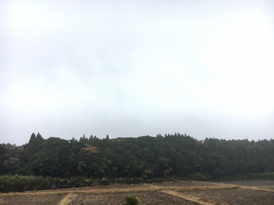 ⭕️空部→ 今日の空（≧∇≦）‼️1013.