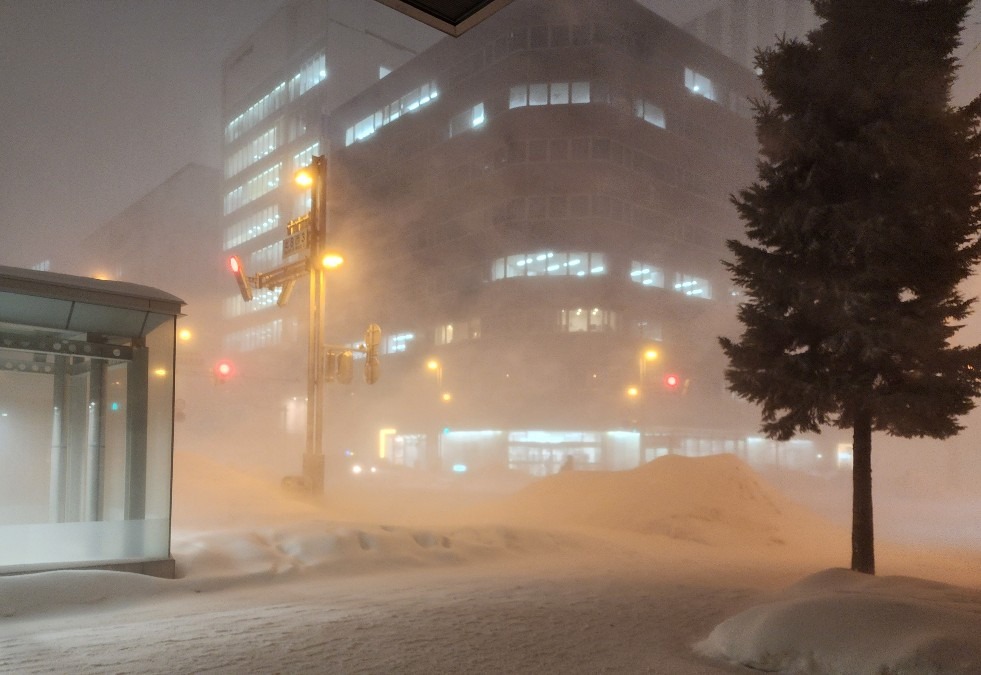 暴風に雪が舞う