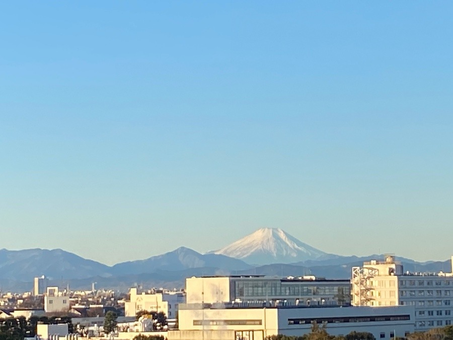 今朝の富士山