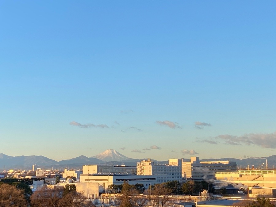 今朝の富士山