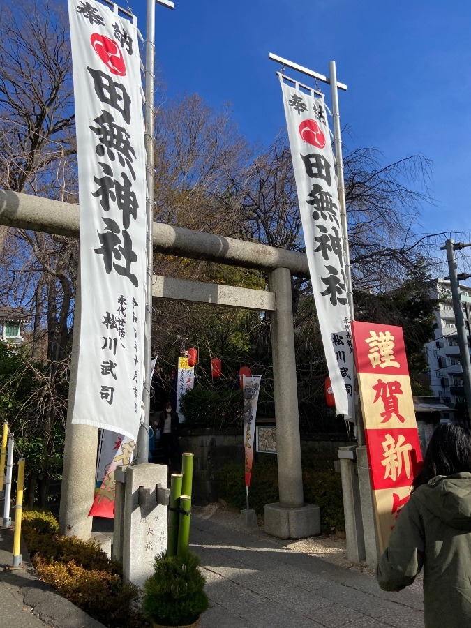 初詣は五龍神が祀られている【田無神社】