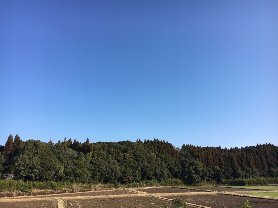 ⭕️空部→ 今日の空（≧∇≦）‼️1069.