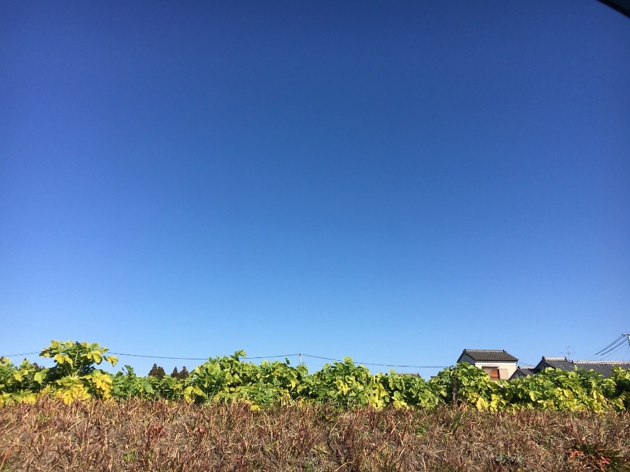 ⭕️空部→ 今日の空（≧∇≦）‼️1092.