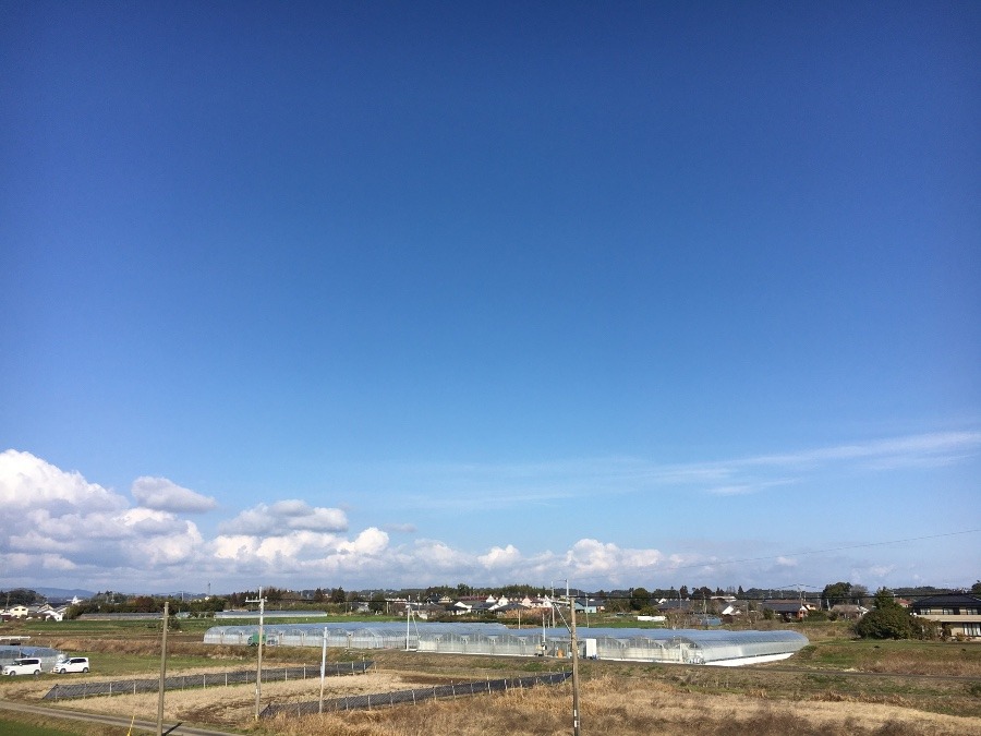 ⭕️空部→ 今日の空（≧∇≦）‼️1070.