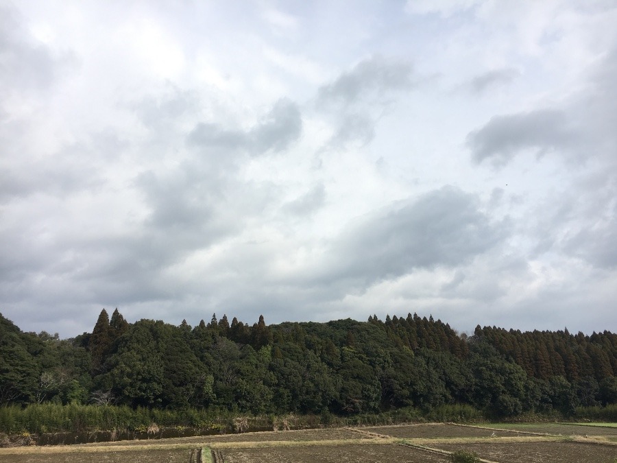 ⭕️空部→ 今日の空（≧∇≦）‼️1098.