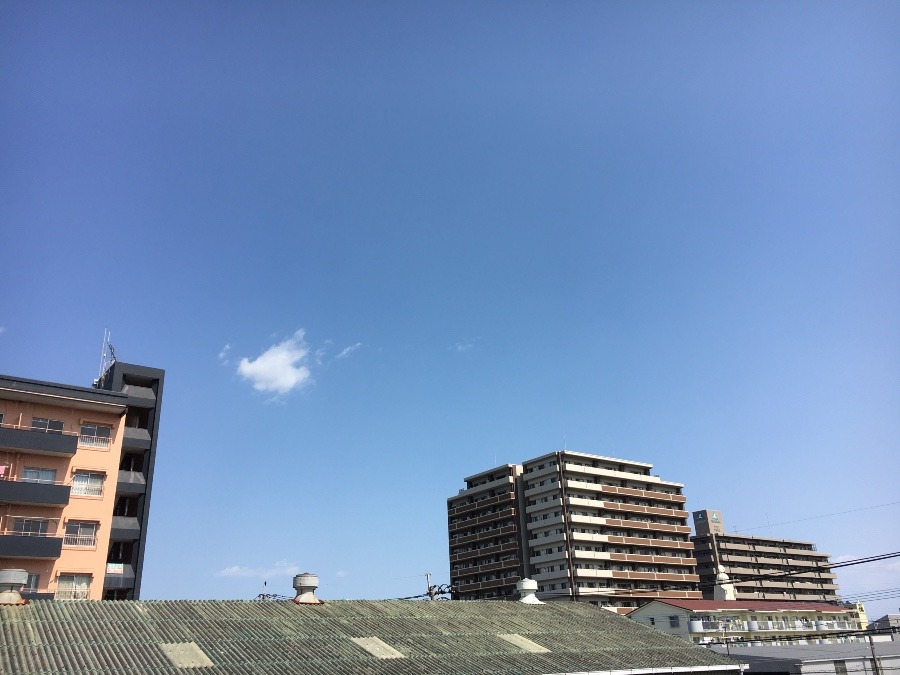 ⭕️空部→ 今日の空（≧∇≦）‼️1129.