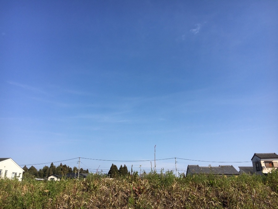 ⭕️空部→ 今日の空（≧∇≦）‼️1134.