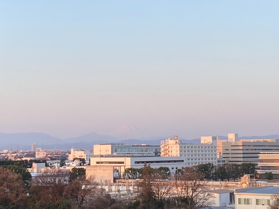 今朝の富士山