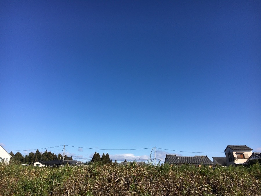 ⭕️空部→ 今日の空（≧∇≦）‼️1114.