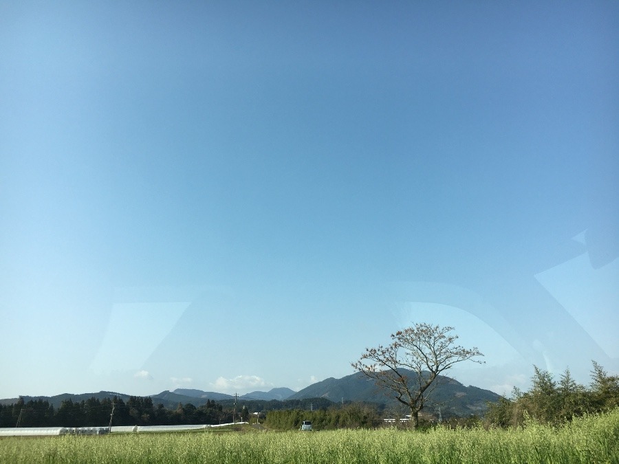 ⭕️空部→ 今日の空（≧∇≦）‼️1130.