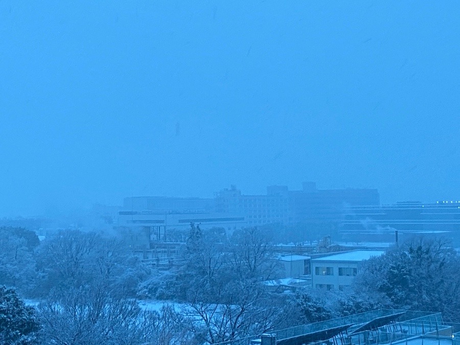 今朝の富士山　