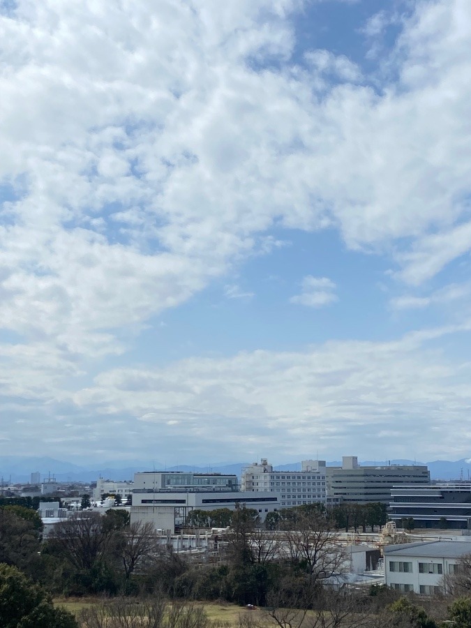 今朝の富士山