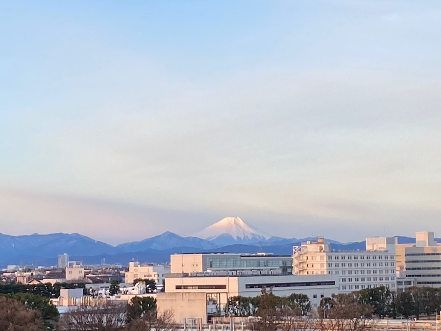 今朝の富士山