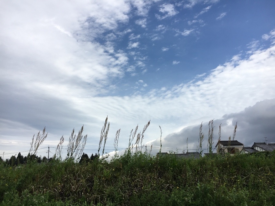 ⭕️空部→ 今日の空（≧∇≦）‼️1207.