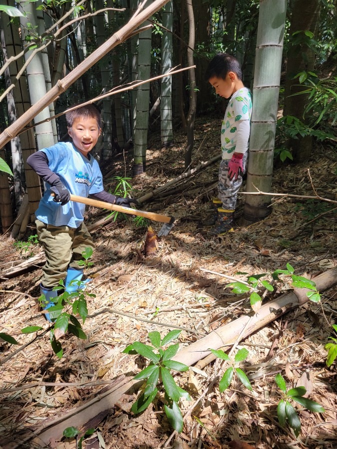 今日は竹の子取りに行って来ました