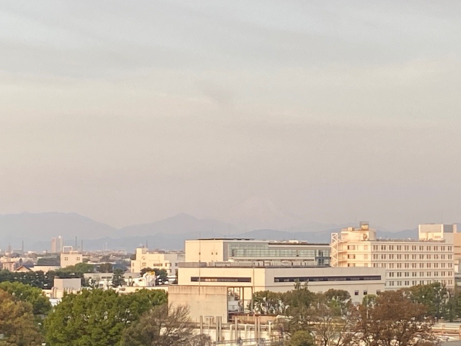 今朝の富士山