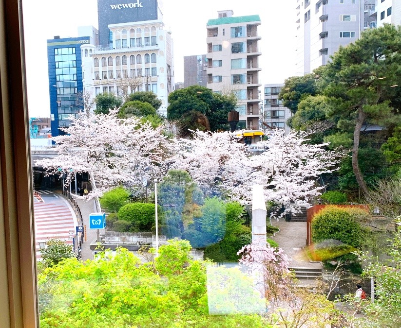 ☆借景　お花見☆