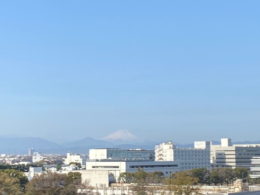 今朝の富士山