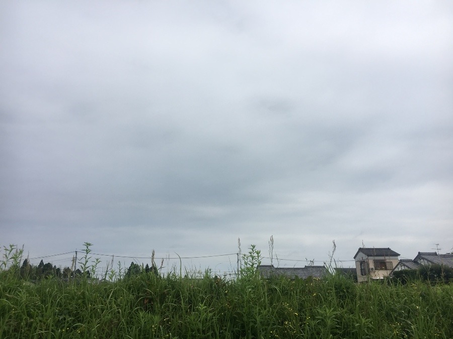 ⭕️空部→ 今日の空（≧∇≦）‼️1264.