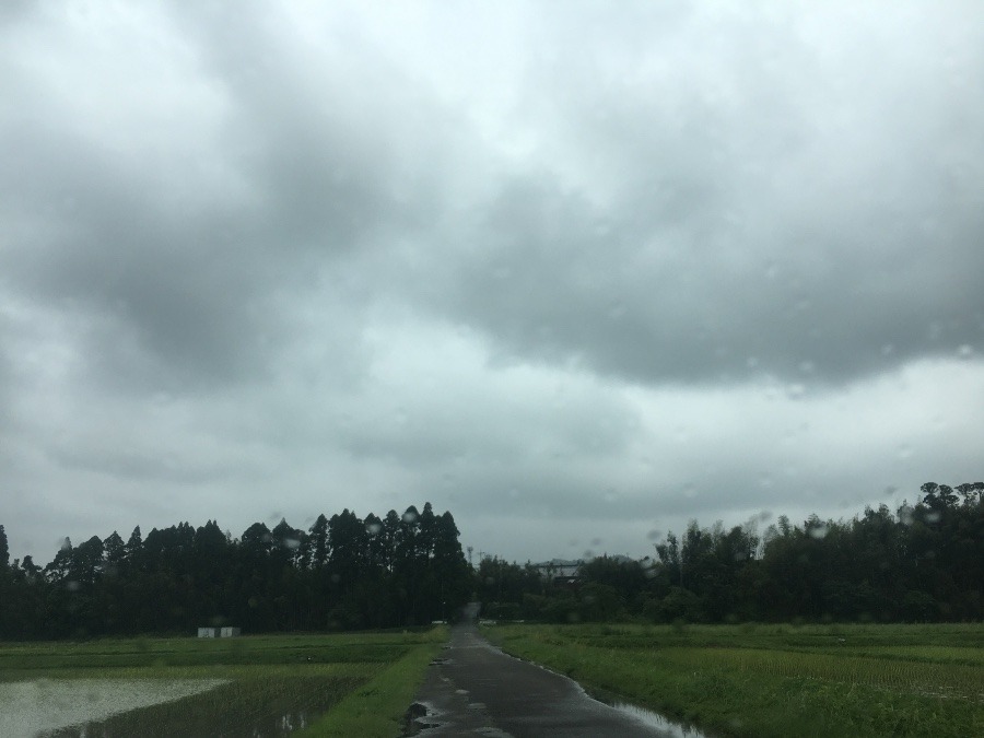 ⭕️空部→ 今日の空（≧∇≦）‼️1231.