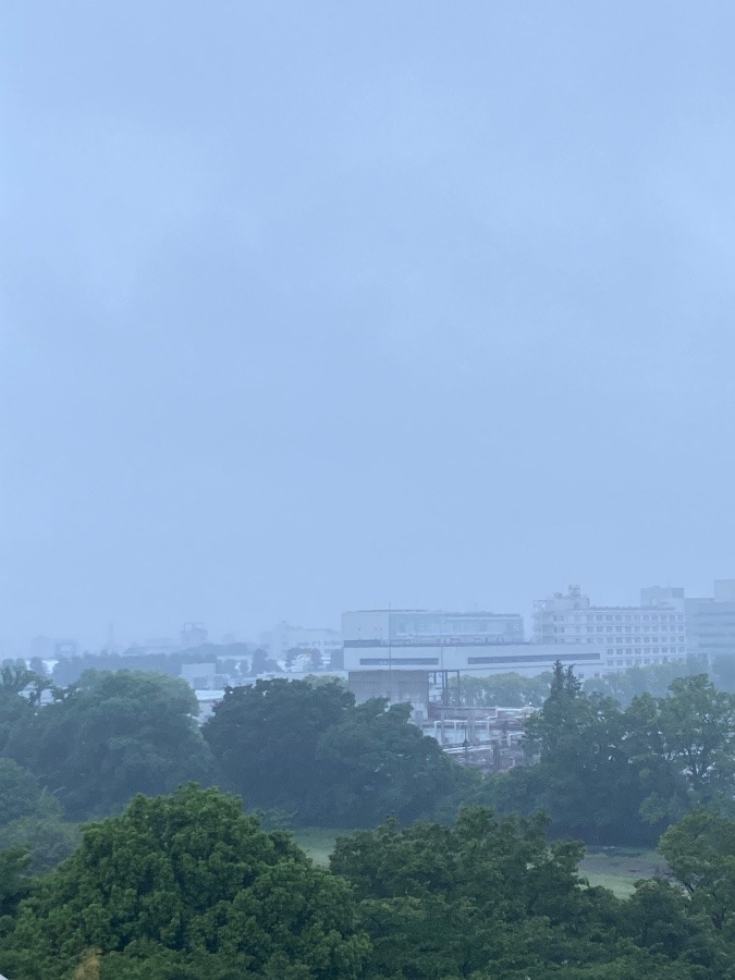 今朝の富士山