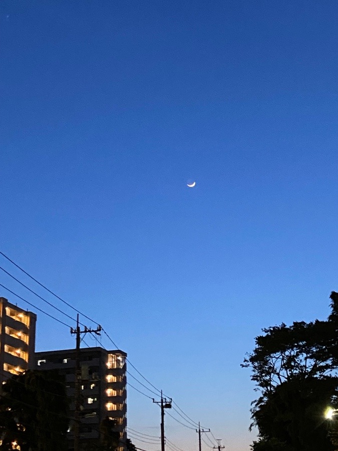 昨日の暮れかかつた西の空には下弦の三日月