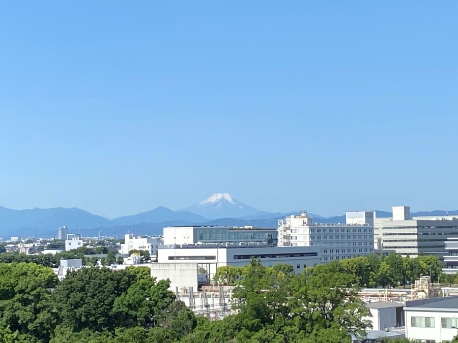 今朝の富士山