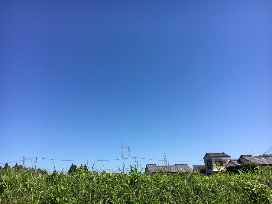 ⭕️空部→ 今日の空（≧∇≦）‼️1252.