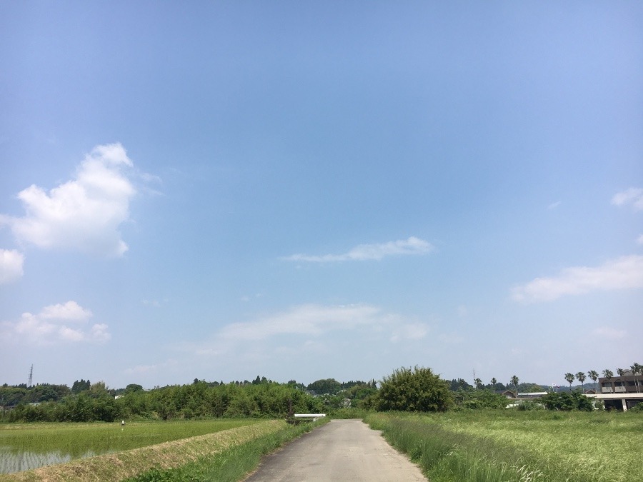 ⭕️空部→ 今日の空（≧∇≦）‼️1239.