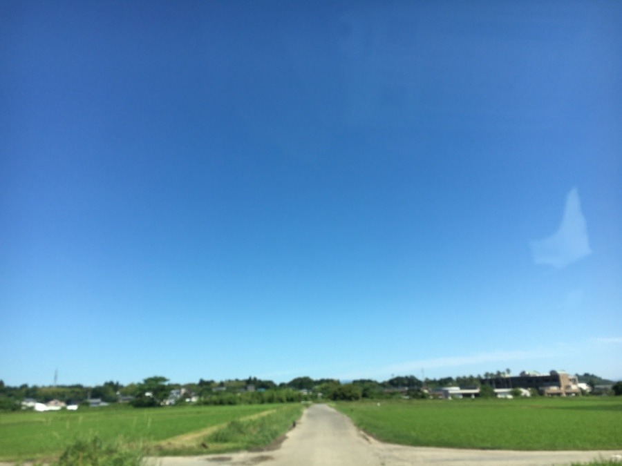 ⭕️空部→ 今日の空（≧∇≦）‼️1274.