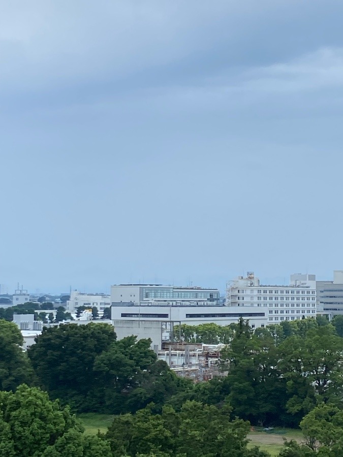 今日の富士山