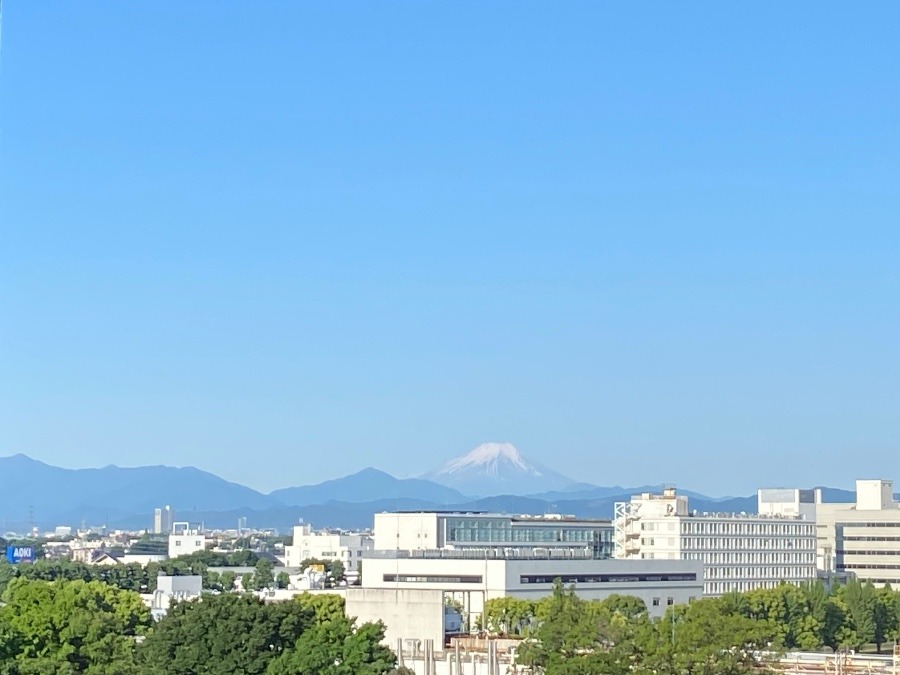 今朝の富士山