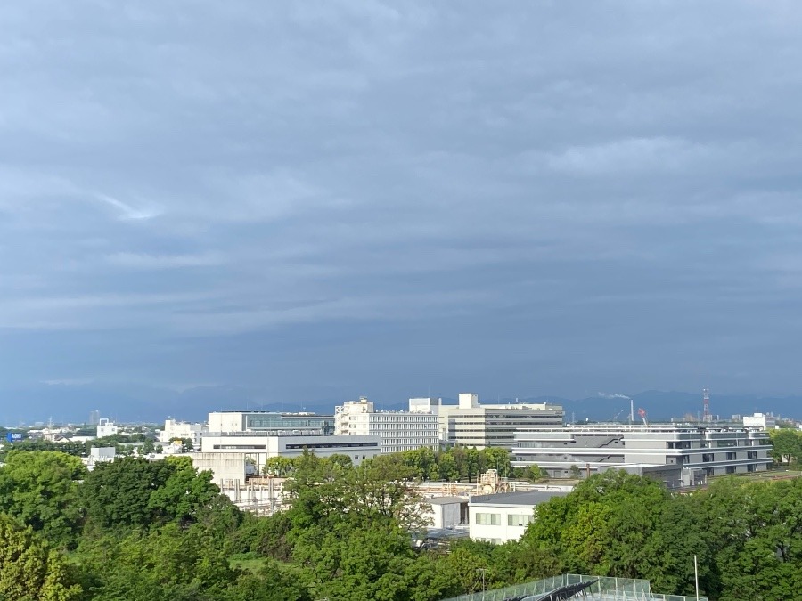 今朝の富士山