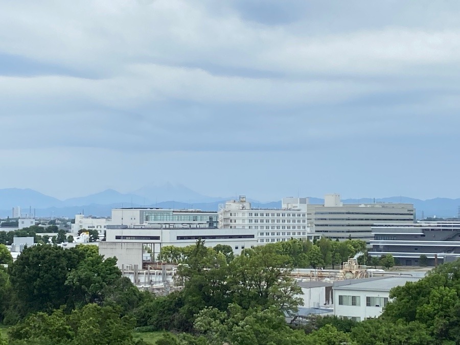 今朝の富士山