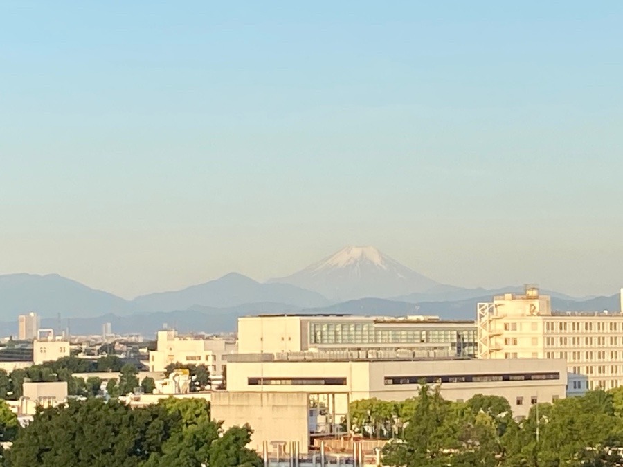 今朝の富士山