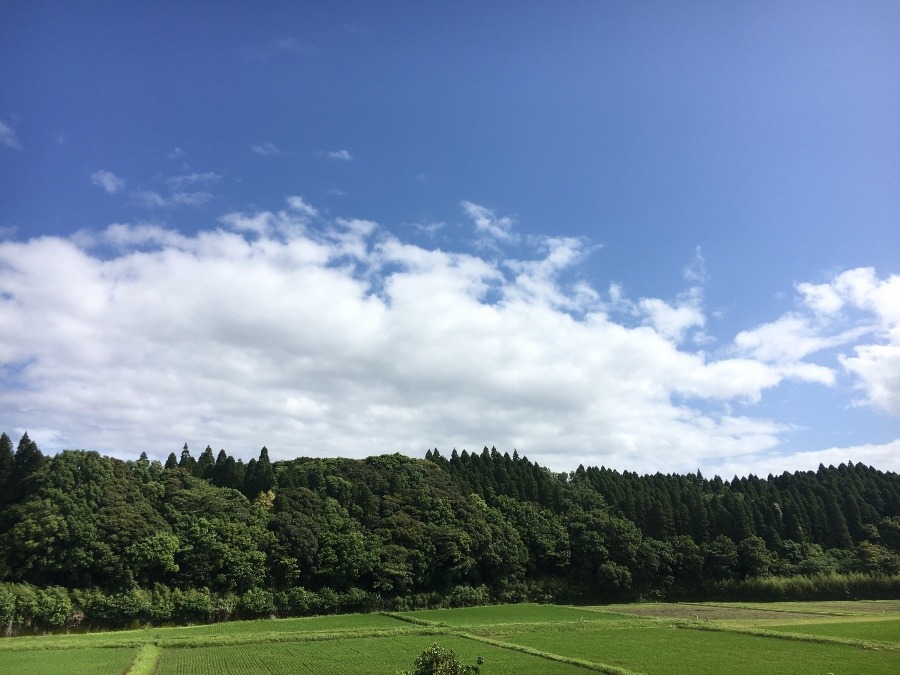 ⭕️空部→ 今日の空（≧∇≦）‼️1233.