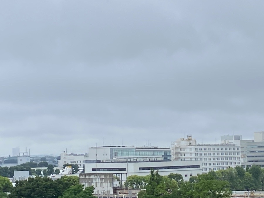 今朝の富士山