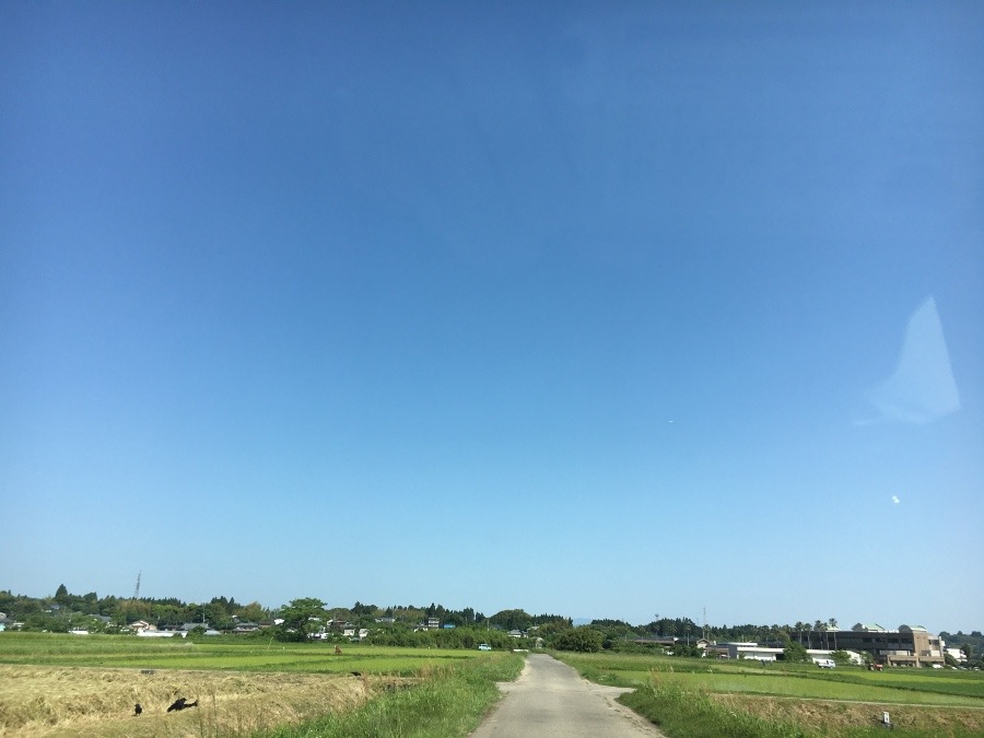 ⭕️空部→ 今日の空（≧∇≦）‼️1243.