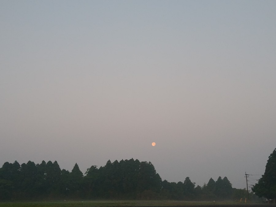 都城市（2024/5/25）今朝の朝焼け😊（西の空）②