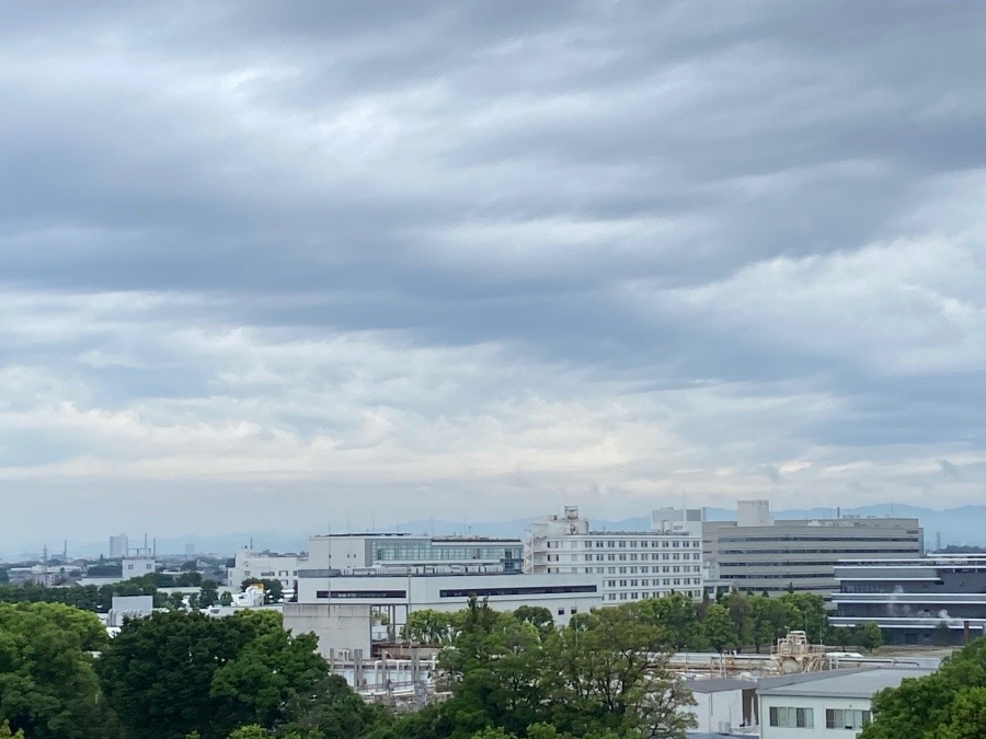 今朝の富士山