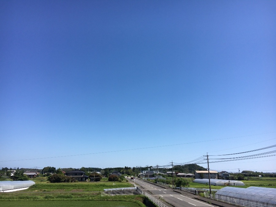 ⭕️空部→ 今日の空（≧∇≦）‼️1242.