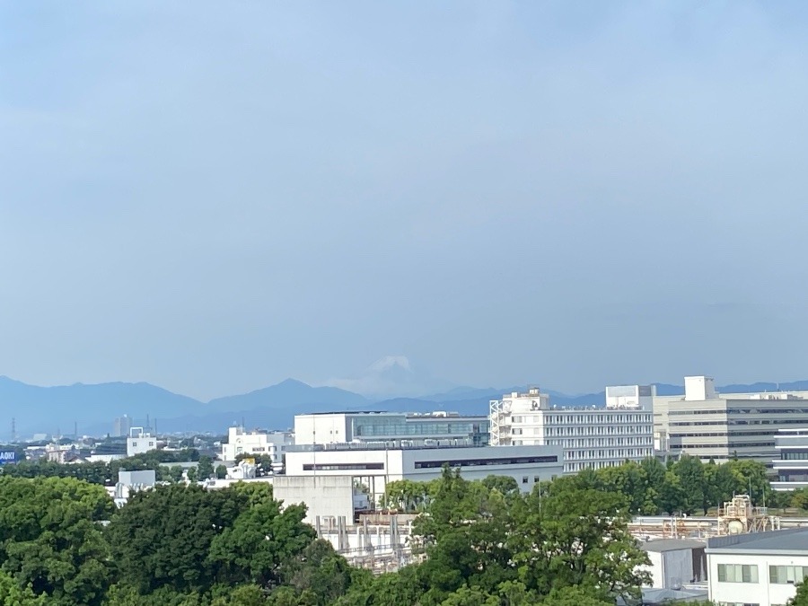 今朝の富士山