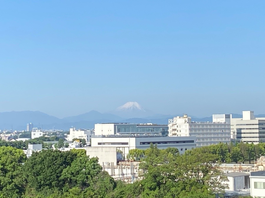 今朝の富士山