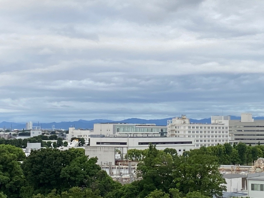 今朝の富士山