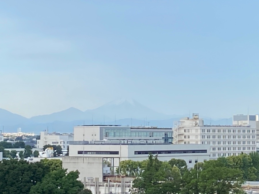 今朝の富士山