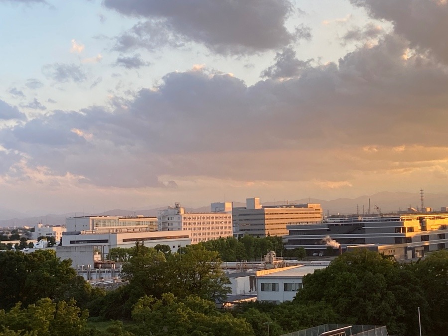 今朝の富士山は撮影せず、夕陽を浴びる富士山