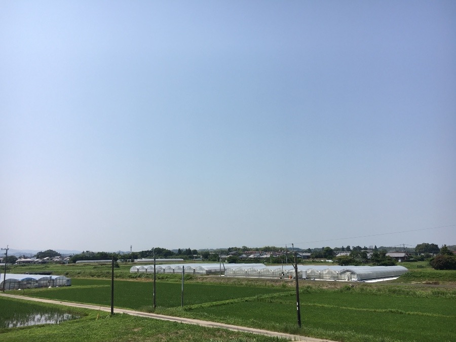 ⭕️空部→ 今日の空（≧∇≦）‼️1267.