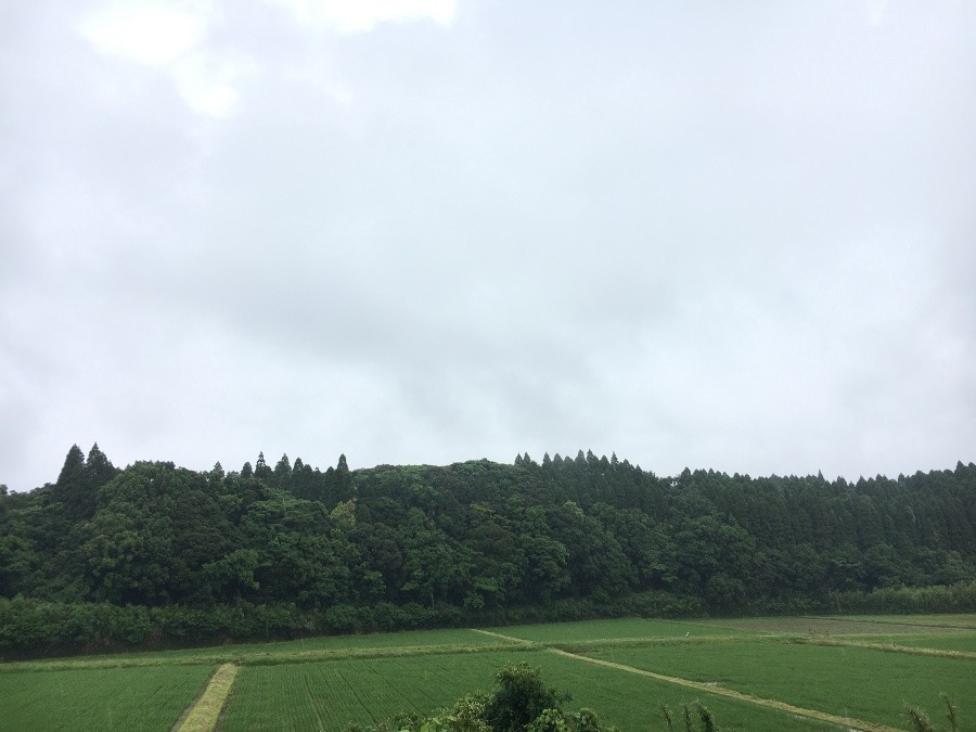 ⭕️空部→ 今日の空（≧∇≦）‼️1249.